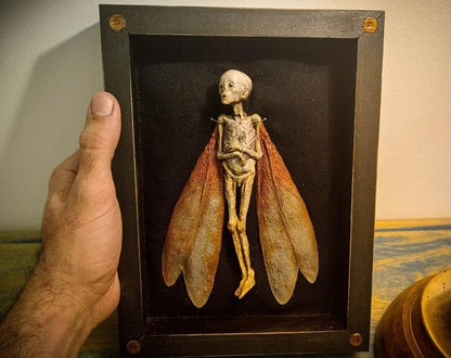 Cursed Items Dead Fairy Shadow Box Display Wooden Ornaments