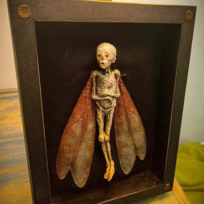 Cursed Items Dead Fairy Shadow Box Display Wooden Ornaments