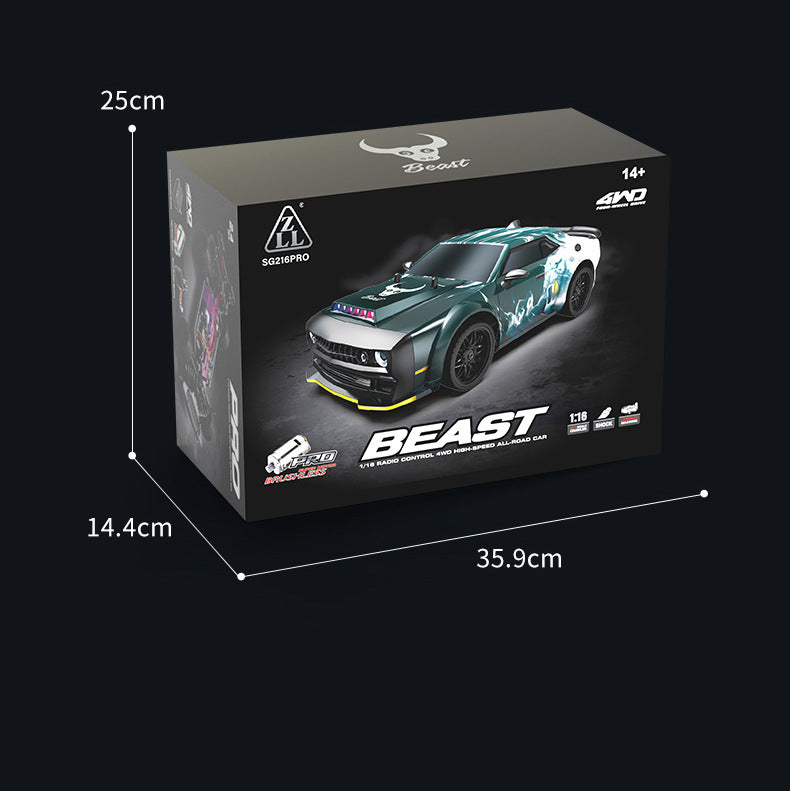 SG216 Brushless Professional RC Remote Control Car Toy